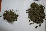 Będzin: Amfetamina, marihuana i tabletki ecstazy w mieszkaniu 25 -latka