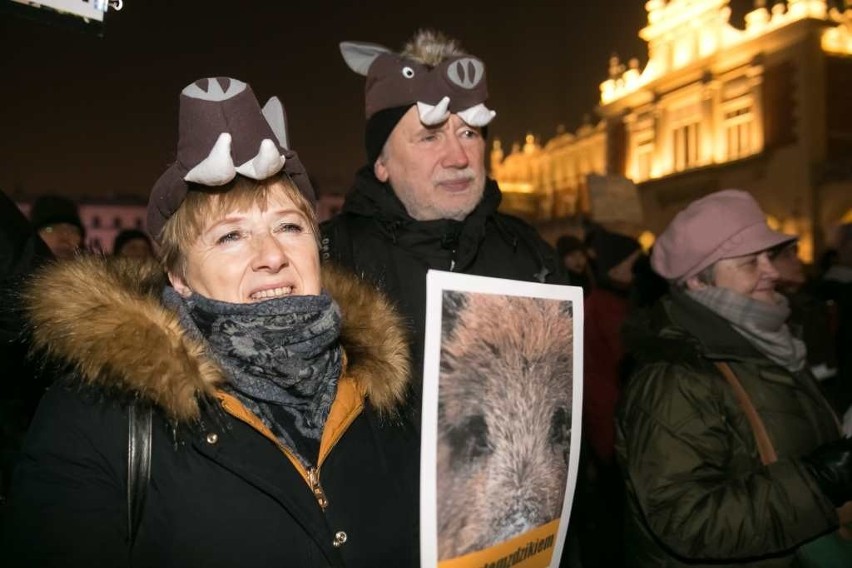 Kraków. "Dziki" na Rynku Głównym? To protest przeciwko masowym polowaniom [ZDJĘCIA]