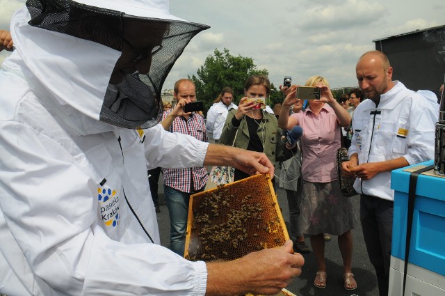 Pszczoły zadomowiły się w pierwszych pięciu ulach na dachu Nowohuckiego Centrum Kultury