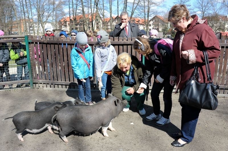 Wstąpiły też do minizoo, gdzie można bezpiecznie karmić...