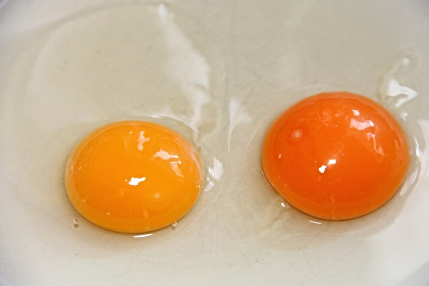 Prócz tego, jajka zawierają, m.in: witaminę A, D, E, K, B12,...