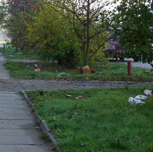 Mieszkańcy bloków przy ulicy Konfederacji Dzikowskiej nie mogą interweniować nawet w sprawie śmieci na swoim osiedlu, ponieważ nie wiedzą, do kogo mają się z tym problemem zgłosić.