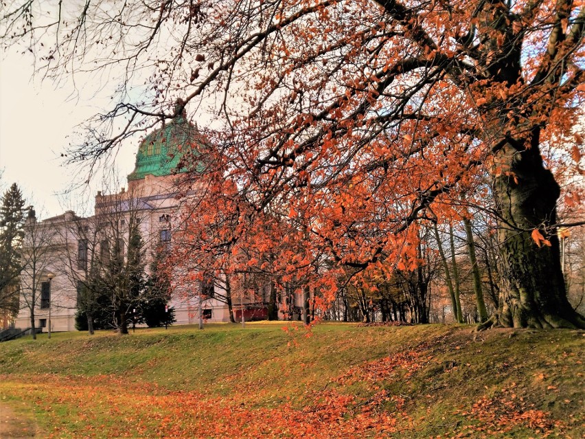 fot. Teodor Domagała