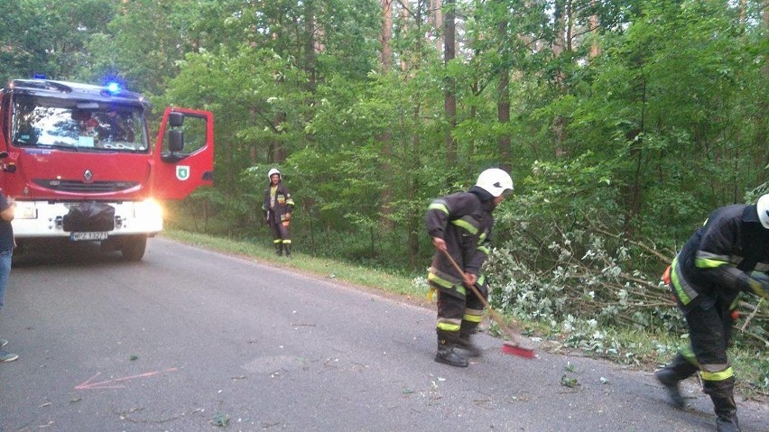 Powiat przasnyski. Drzewo spadło na dach domu