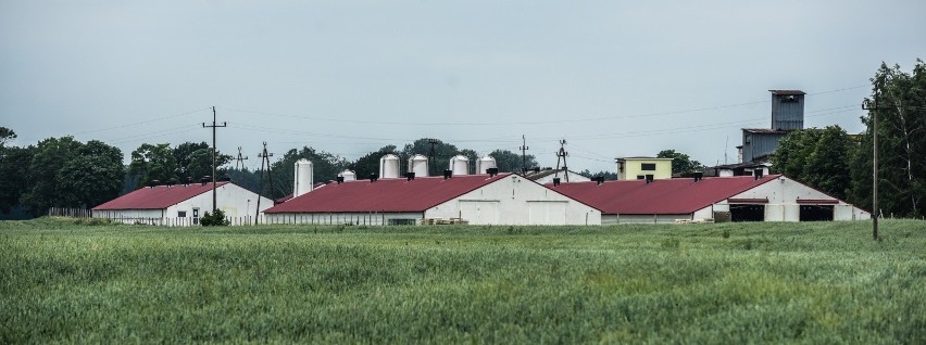 Mieszkańcy miejscowości Pauliny twierdzą, że odór dochodzący...