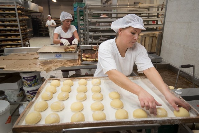 Tłusty czwartek. Tak w Cukierni Rumińscy powstają pączki! [ZDJĘCIA + WIDEO]