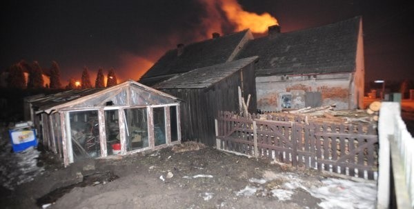 Zwłoki były zakopane nieopodal starej szklarni.