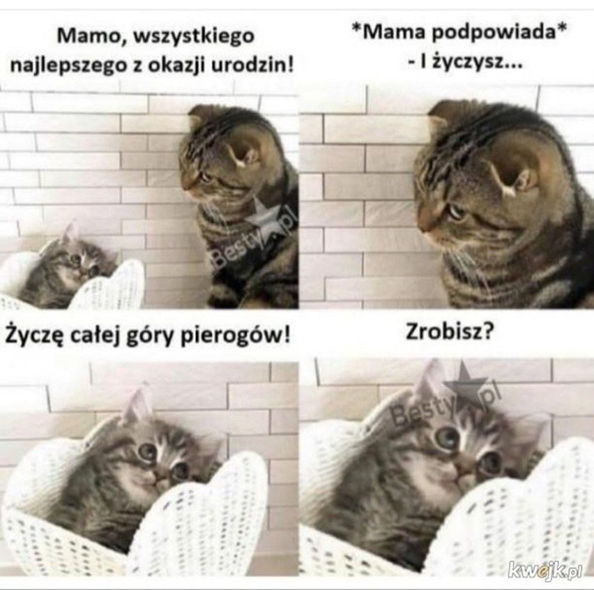 Te MEMY zrozumieją wszystkie mamy! Mamusie jesteście niesamowite! Zobacz