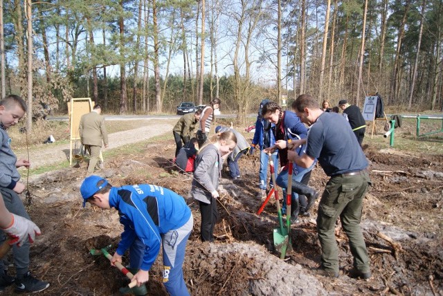 Tylko w ostatnich czterech latach pracownicy Grupy PGE we współpracy z regionalnymi dyrekcjami Lasów Państwowych, szkołami oraz lokalnymi społecznościami, w całym kraju posadzili prawie 300 tys. drzew.