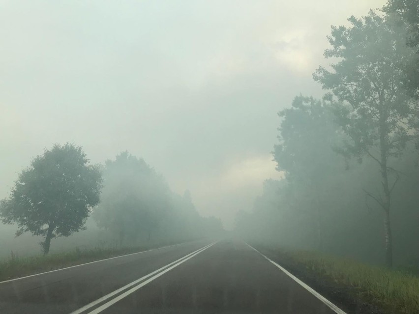 Studzianki. Pożar wysypiska śmieci gminy Wasilków gasi...