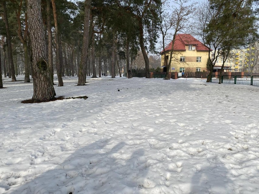 Ostrołęka. Wybieg dla psów w parku miejskim - rusza budowa. To inwestycja z budżetu obywatelskiego. 25.02.2021