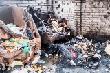 Policja zatrzymała 28-letniego podpalacza z Gorzowa. Podpalał pojemniki na śmieci. Spłonęło kilkadziesiąt kontenerów