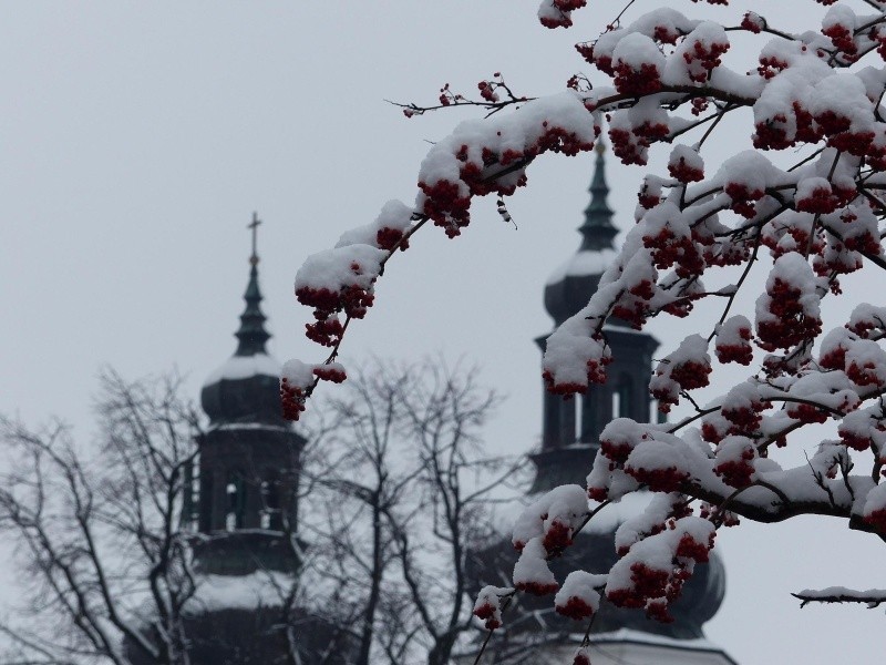 Śnieg w Bielsku Podlaskim