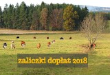 Dopłaty bezpośrednie 2018. Prezes ARiMR o tempie wypłat zaliczek [wysokość, terminy wypłat]