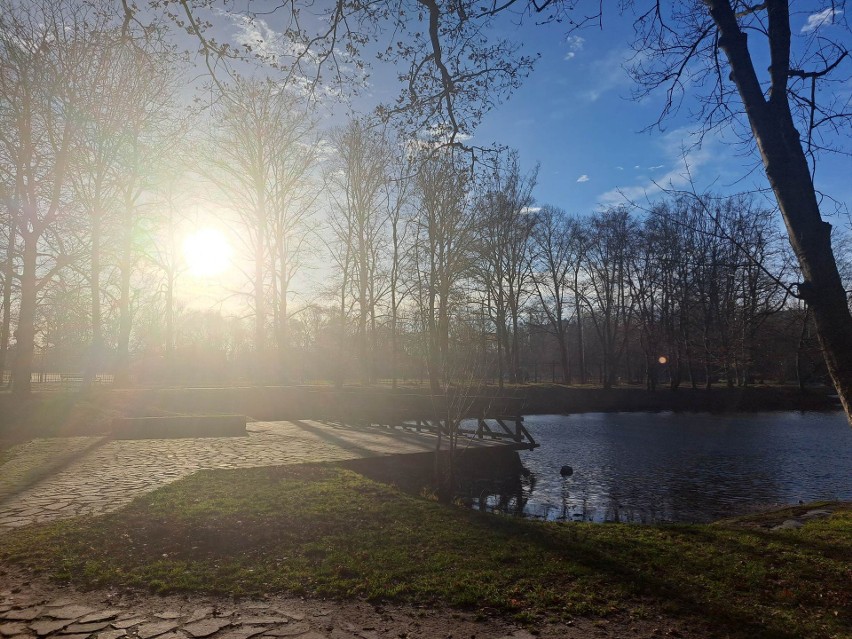 Park Kachla w Bytomiu w Nowy Rok. Pogoda 1 stycznia 2023 jak wiosną!