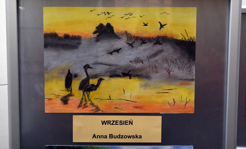 Rozstrzygnięto konkurs plastyczny o przyrodzie województwa kujawsko-pomorskiego 