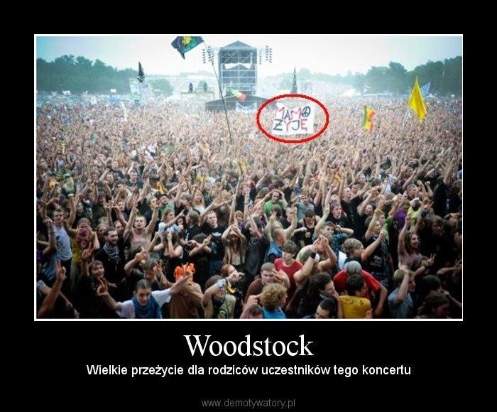 Woodstock 2013: Przystanek w oczach internautów