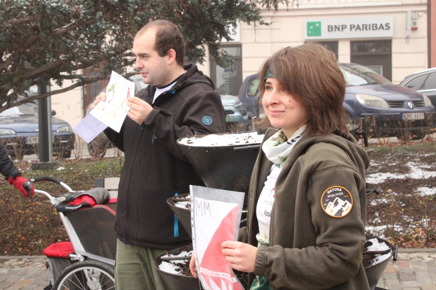 V Myślenicki Orienteering