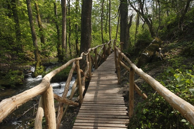 "Czartowe pole", mostek nad rzeką  Sopot 