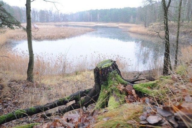 Jezioro Małe w Turawie.