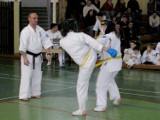 Turniej karate seido po radomsku