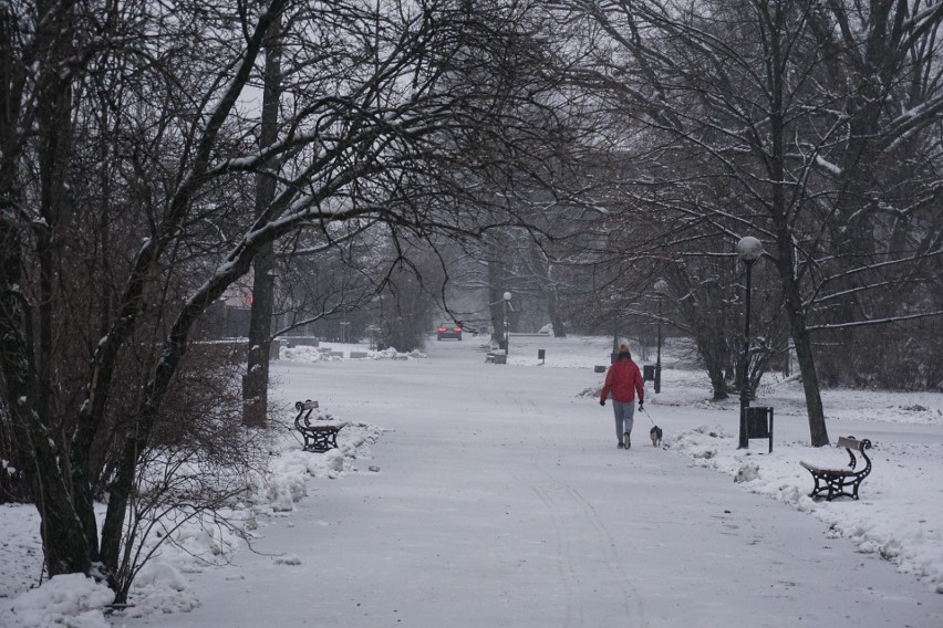 Zima w Łodzi w pełni. Śnieg zaczął padać po południu, a od czwartku chwyci silny mróz. Sprawdź prognozę pogody. ZDJĘCIA