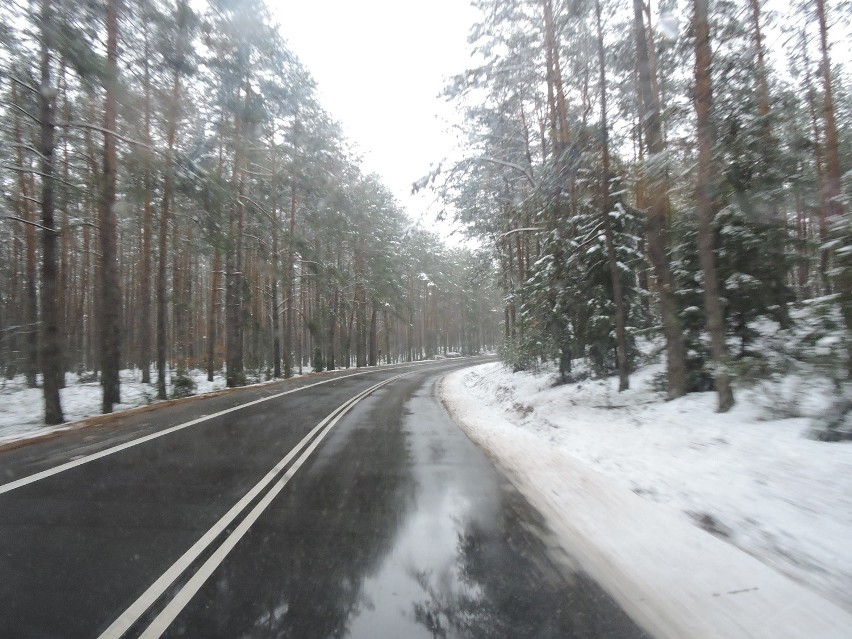 Myszyniec - Zawady, przez Olszyny