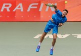 Tenis. Ambitny Hurkacz przegrał w domu, Berrer w ćwierćfinale Wrocław Open