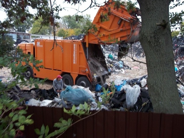 Jesienią 2011 r. zamiast wywozić gumy, wwożono śmieci komunalne na składowisko w Konojadach