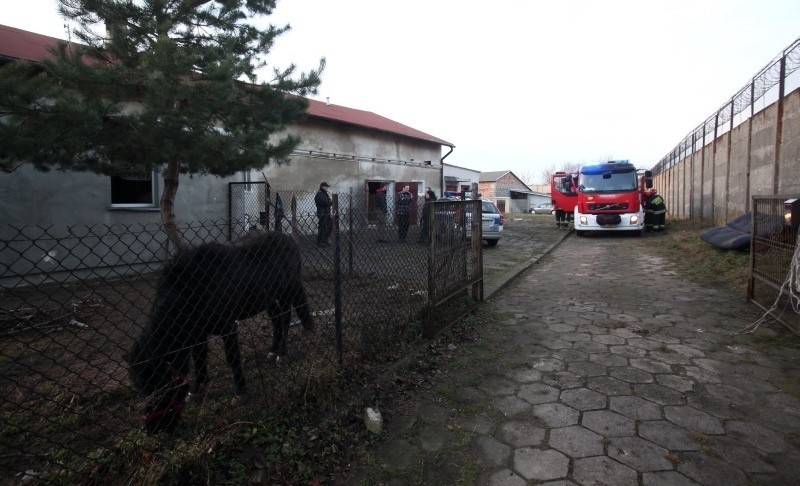 Tragiczny pożar na ul. Beskidzkiej