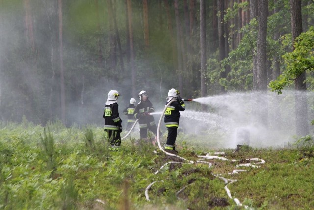 Epizody zakładały pożary lasu na obszarze 7 hektarów w okolicach Golejowa i Wiśniówki.