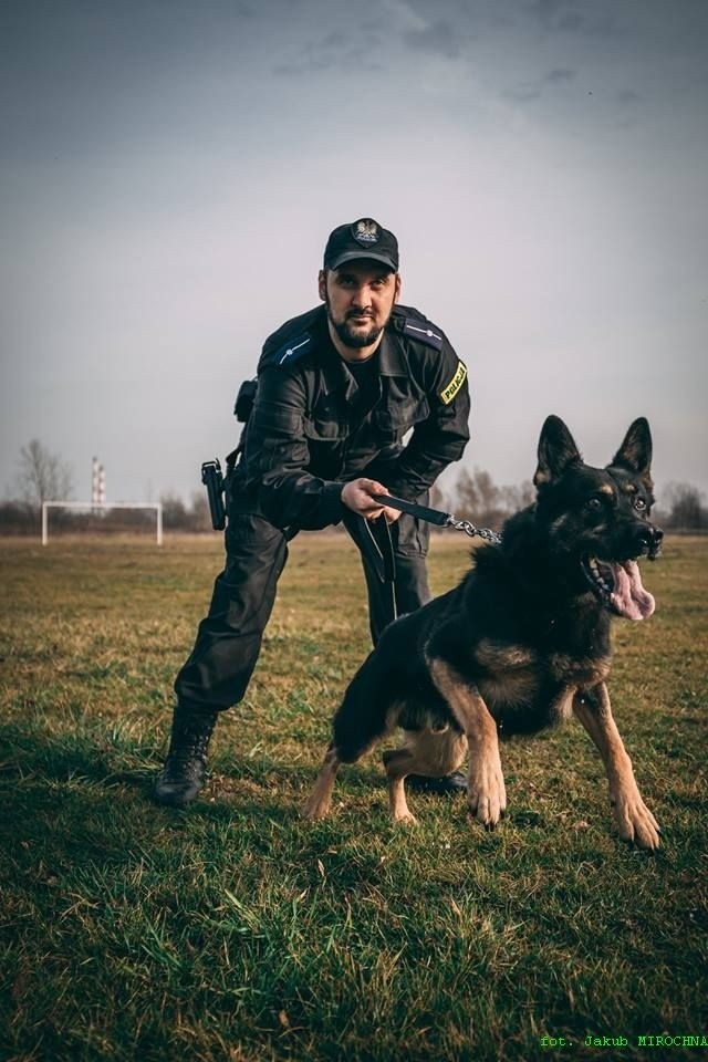 Pies i policjant, czyli zgrany duet. Zobacz czworonożnych funkcjonariuszy w Tarnowie! [ZDJĘCIA]