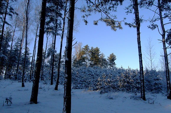 Gdy pogoda nie dopisuje warto powspominać. Obejrzyj piękne zdjęcia zimy.
