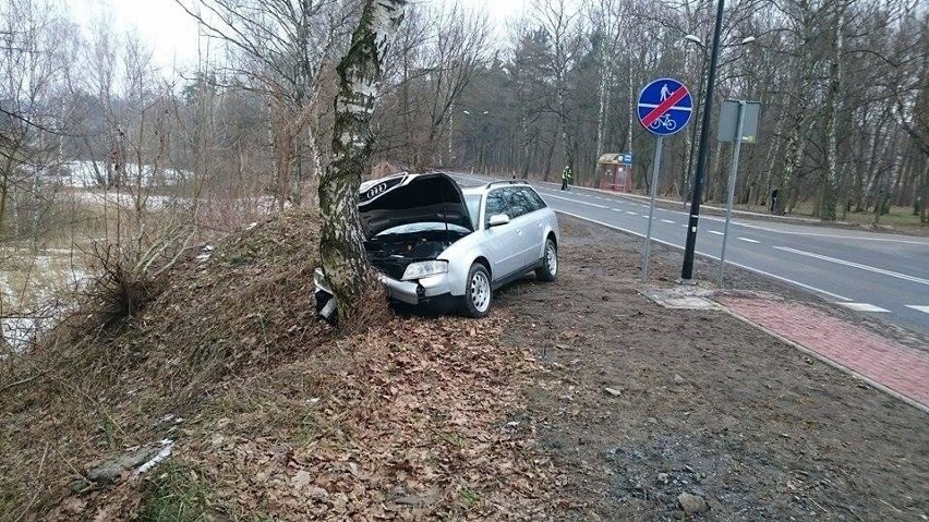 Audi uderzyło w drzewo.
