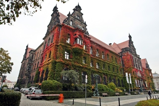 Jesienny konkurs fotograficzny Muzeum Narodowego we Wrocławiu. Można wygrać nocleg w luksusowym hotelu na Ostrowie Tumskim!