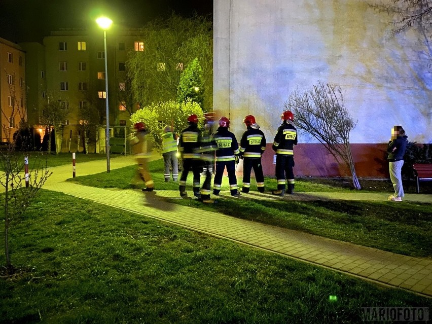 Akcja strażaków i pogotowia gazowego przy ul. Gospodarczej w Opolu