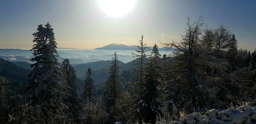 Beskid Sądecki. Zimowa Przehyba zachęca do spacerów [ZDJĘCIA]