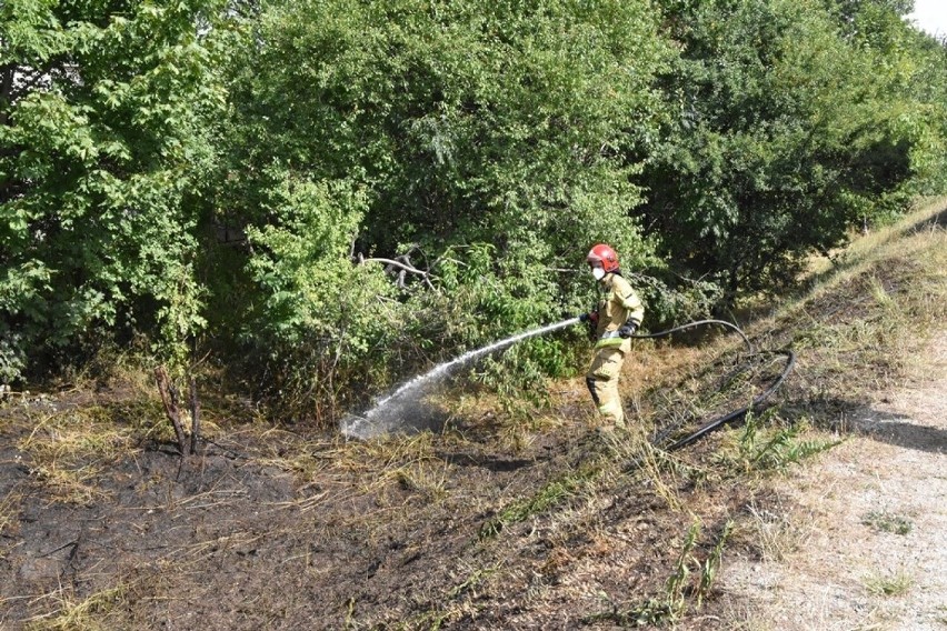 Pożar trawy w Śremie. Mężczyzna mógł spłonąć żywcem. Z...