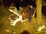 Wypadek w Klarynowie. Uderzyła samochodem w drzewo. O krok od tragedii