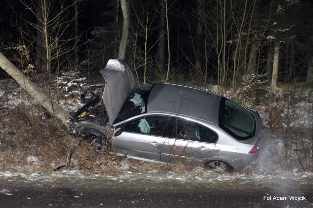 W środowy wieczór na drodze wojewódzkiej nr 162, w pobliżu miejscowości Słowenkowo, kierujący samochodem marki Renault    jadący od  Kołobrzegu w kierunku  Świdwina, uderzył w  dzika, a następnie w drzewo. Na szczęście nikomu nic się nie stało.Zobacz także Wypadek na budowie drogi S6