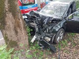 Groźny wypadek w Polanowie. Jedna osoba trafiła do szpitala [ZDJĘCIA]