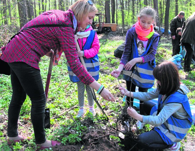 W czwartek dęby w Lesie Kapturskim sadzili między innymi wolontariusze z Centrum Młodzieży Arka.