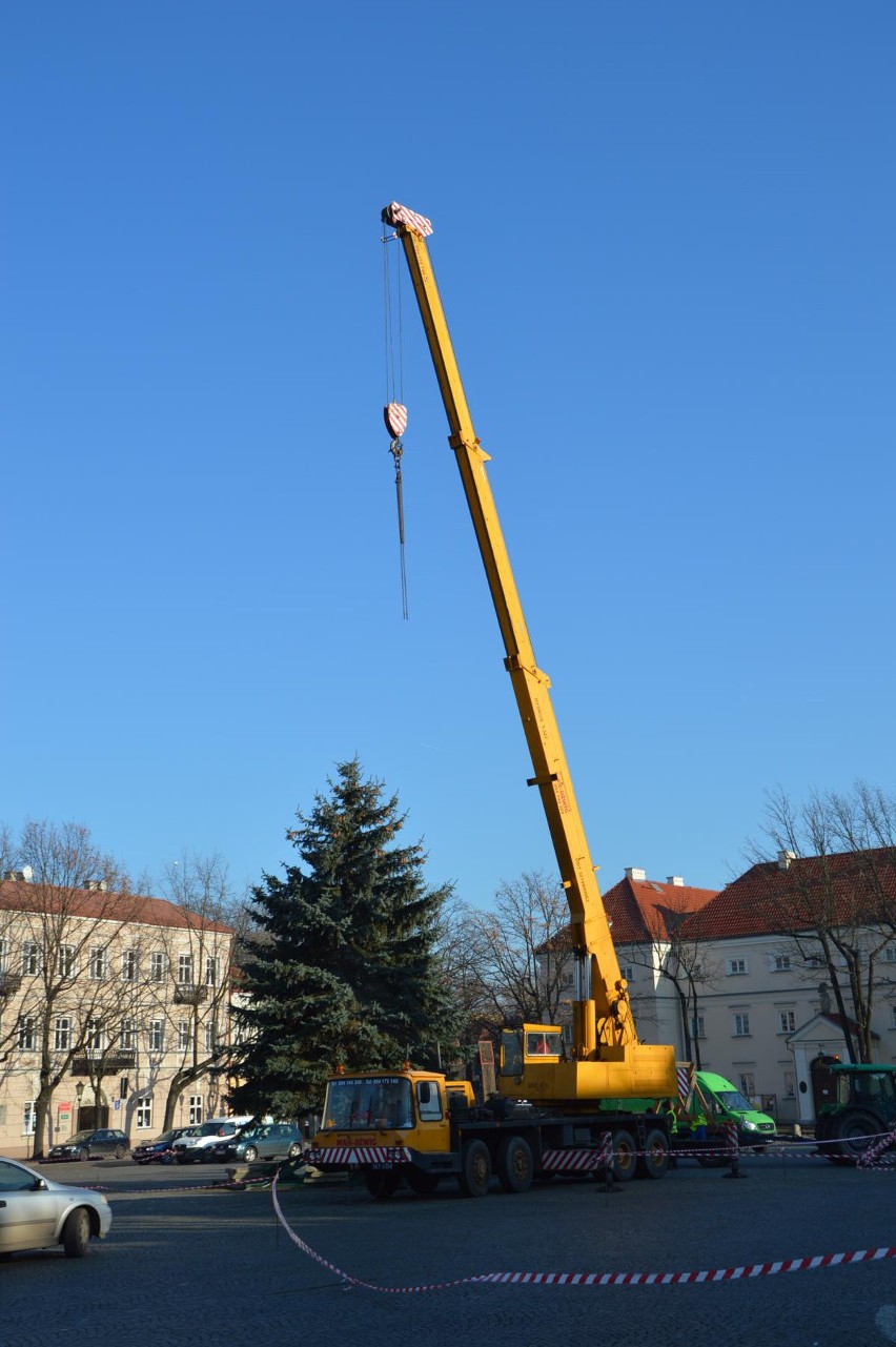 Blisko 11-metrowy świerk stanął na Starym Rynku w Łowiczu [ZDJĘCIA]