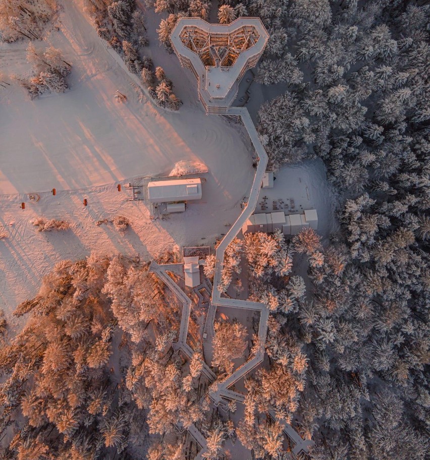 Wieża i ścieżka w koronach drzew w Krynicy-Zdroju w zimowej odsłonie. Tak wygląda atrakcja na zdjęciach z drona. Niesamowite ujęcia!