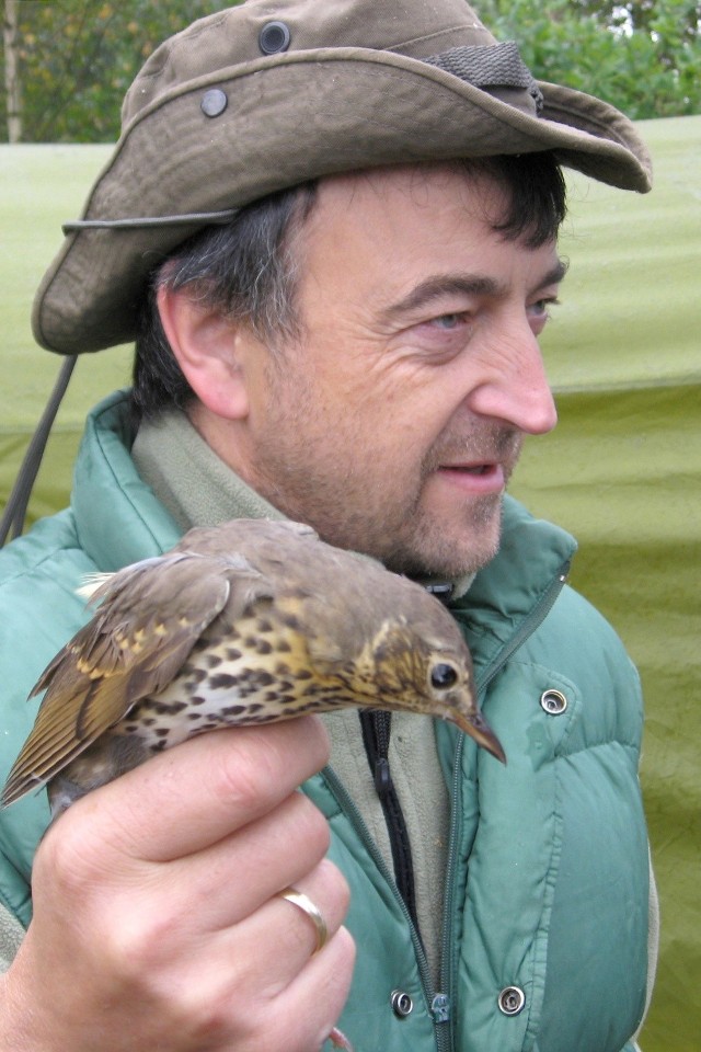 Jacek Słupek z drozdem śpiewakiem w ręku podczas obrączkowania ptaków nad zalewem w Domaniowie