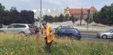 Radny Szczecina Robert Stankiewicz w centrum miasta kosił wysoką trawę, by uniknąć wstydu przed turystami na Żagle 2021 