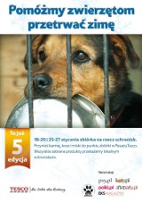 Akcja "Pomóżmy zwierzętom przetrwać zimę" w Lubuskiem
