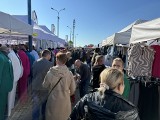 Niedzielny targ w Wierzbicy. Dużo handlujących i kupujących. Dobrze sprzedawały się sadzonki i kwiaty na rabaty 