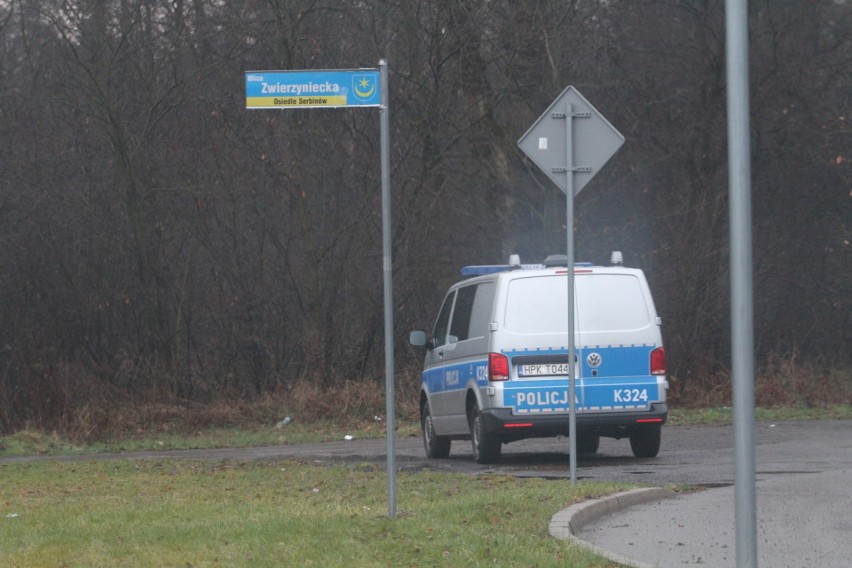 Zwłoki w lesie w Tarnobrzegu, nie żyje 27-latek. Policjanci ustalają okoliczności tragedii (ZDJĘCIA)