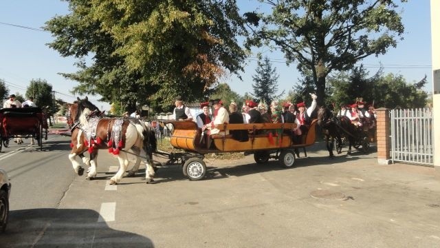 Weselnicy jadą z hukiem [WIDEO]